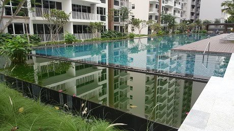 Ecopolitan-7