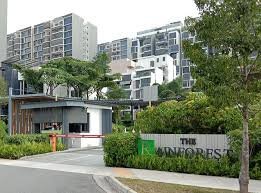 The-Rainforest-6